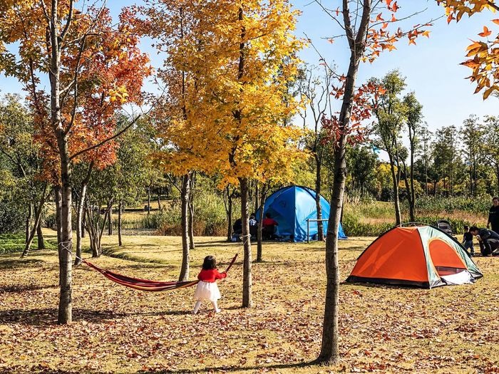 Tent in park during autumn