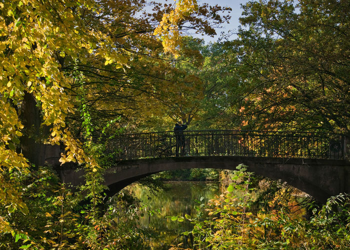 Arch bridge over river amidst trees during autumn