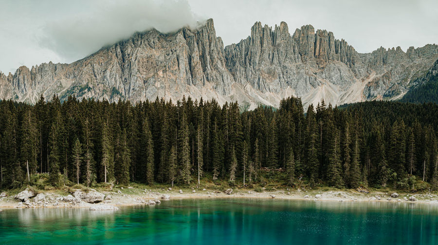 Panoramic view of pine trees by lake against sky