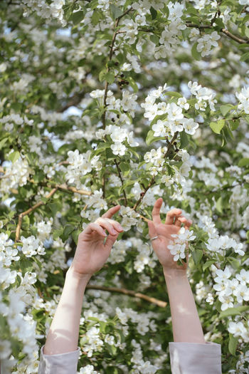 Cropped hand of woman holding flowers