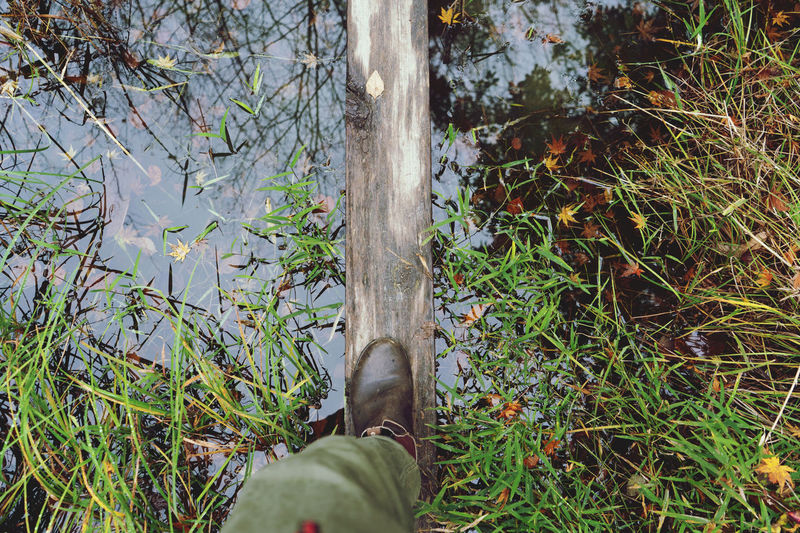 Low section of person on wood over pond