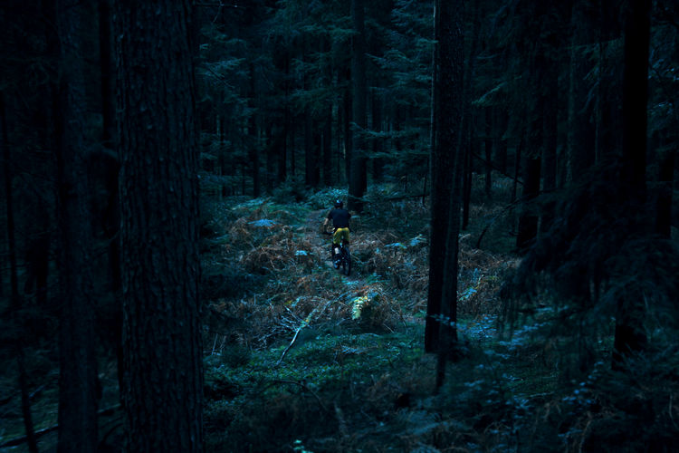 High angle view of mountain biker in the forest