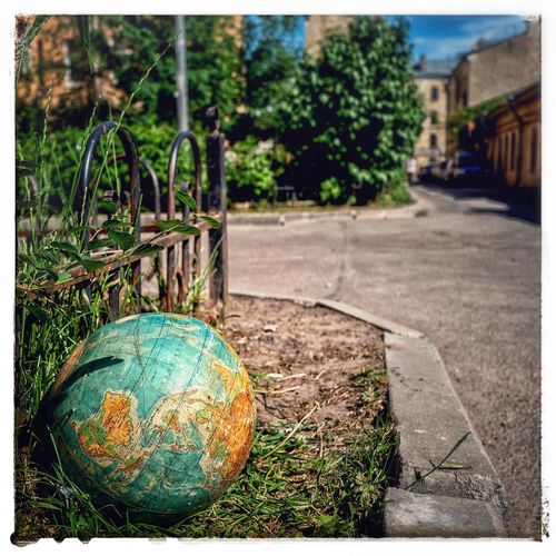 Close-up of ball and tree on street