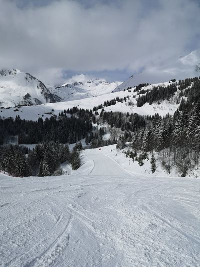 Empty ski runs 