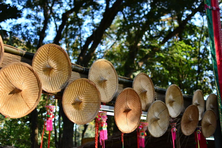 Decoration on bamboo