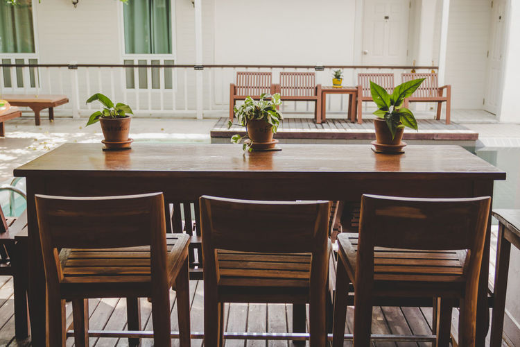 Empty chairs and table against potted plants
