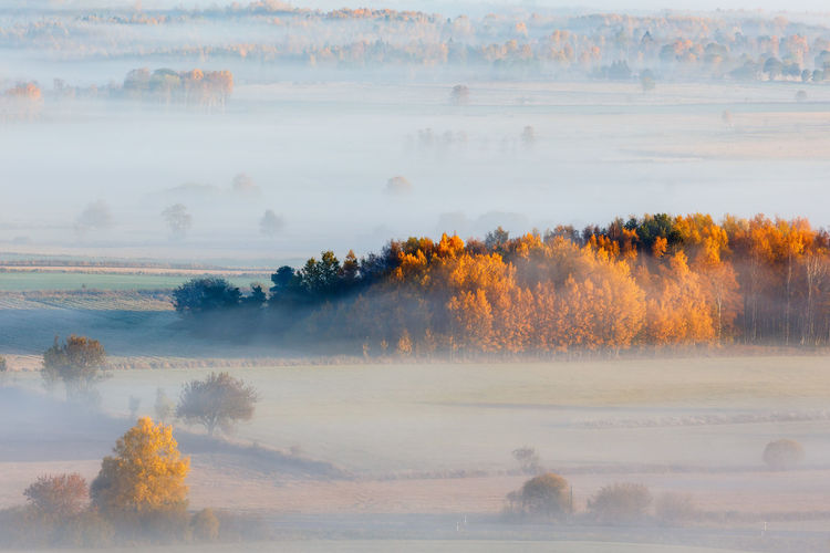 Autumn fog over the fields and forests in the countryside