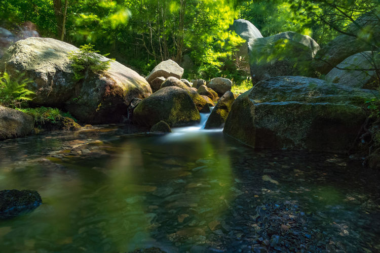 Stream flowing amidst rocks in forest