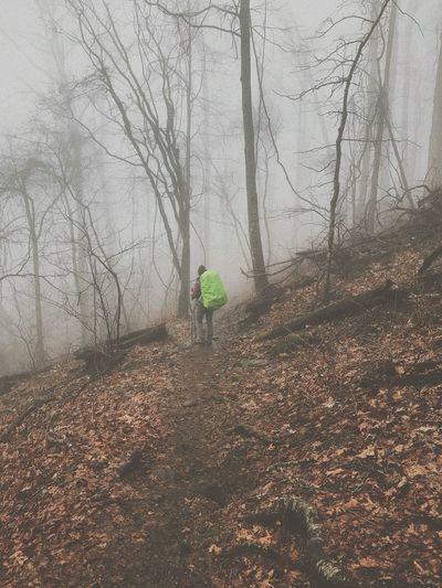 Rear view of man walking in forest during winter