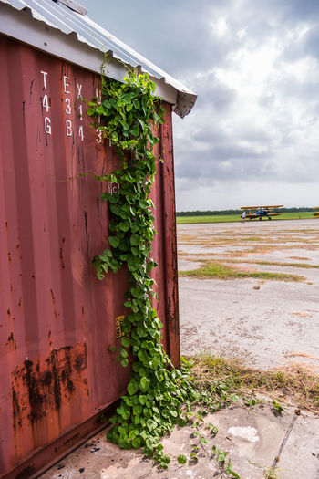 Plants growing on field by building against sky
