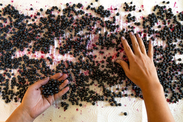 Cropped hands of mid adult woman cleaning blueberries on table
