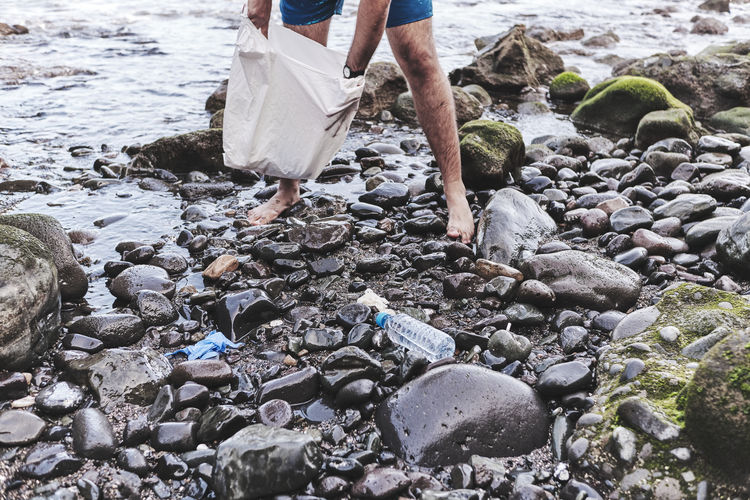 Anonymous volunteer cleaning beach from plastic
