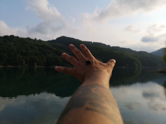 Close-up insect perching on hand of man at lake against sky