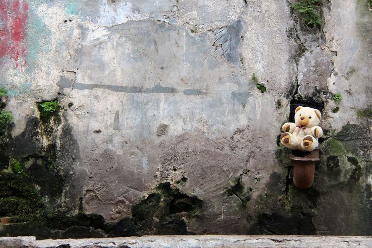 Teddy bear on pipe mounted on abandoned wall