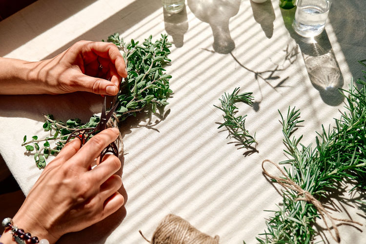 Alternative medicine. women's hands tie a bunch of marjoram.