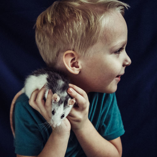 Close-up of boy and cat