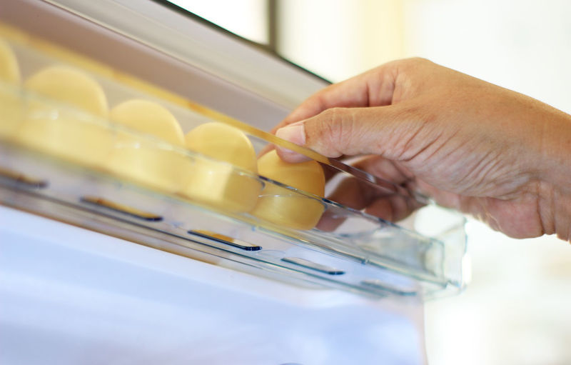 Pick chicken egg from refrigerator, eggs on shelf of refrigerator