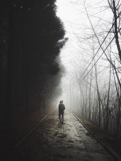 Man standing on road in forest