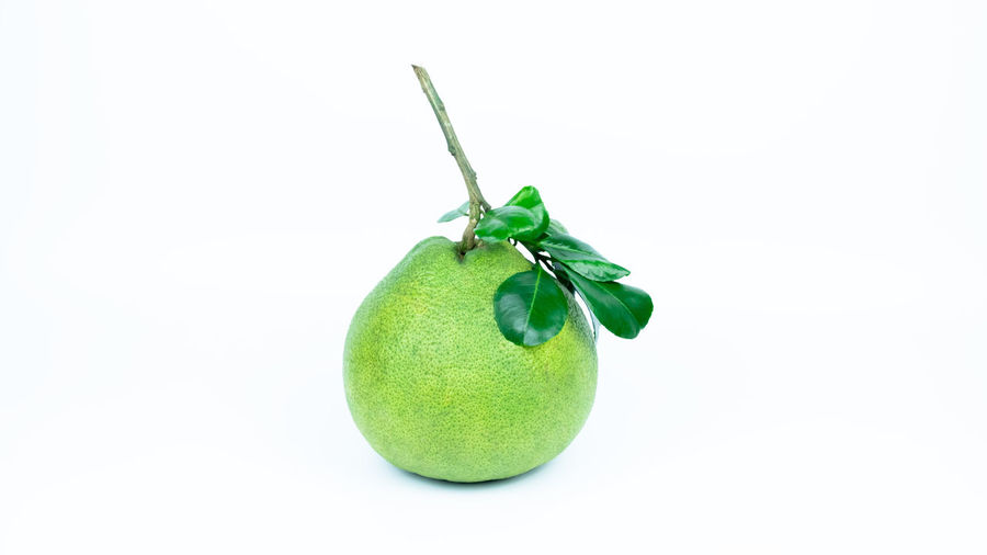 Close-up of green fruit against white background