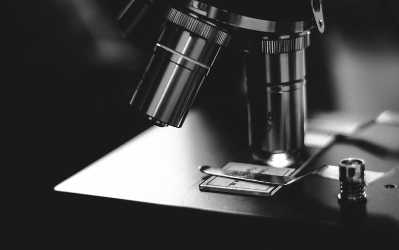 Microscope Slide pictures Curated Photography on EyeEm