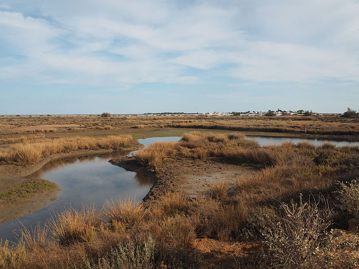 Rio formosa 
