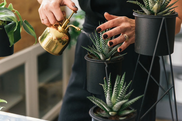 Midsection of woman working on potted plant