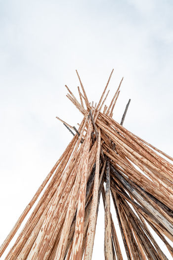 Low angle view of bamboo structure against sky