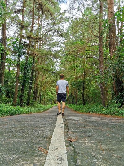Rear view of person walking on footpath amidst trees in forest