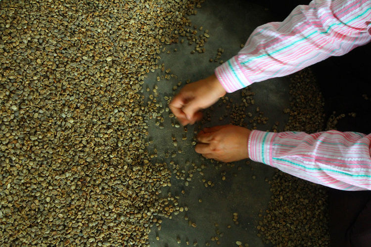 Cropped hands of child holding lentils on floor