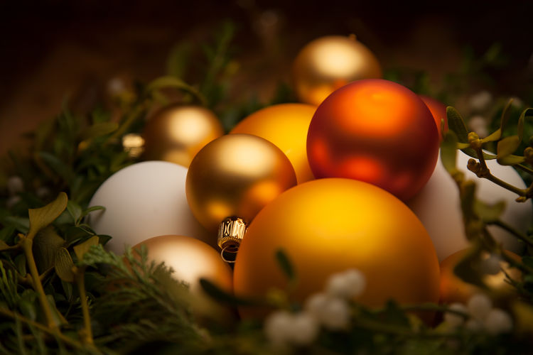Close-up of baubles on plants during christmas