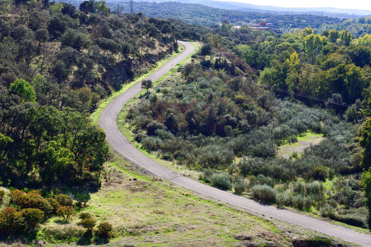 High angle view of road amidst trees and plants