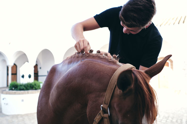 Young male jockey making braids on mane of chestnut horse while standing on ranch in summer