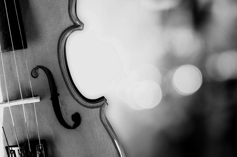 Close-up of guitar