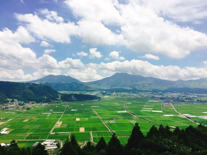 Scenic view of agricultural field against sky