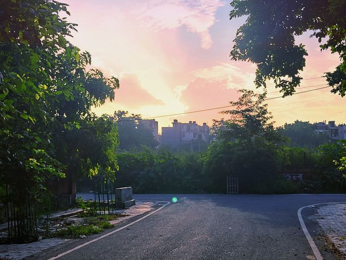 Road by trees and buildings against sky during sunset