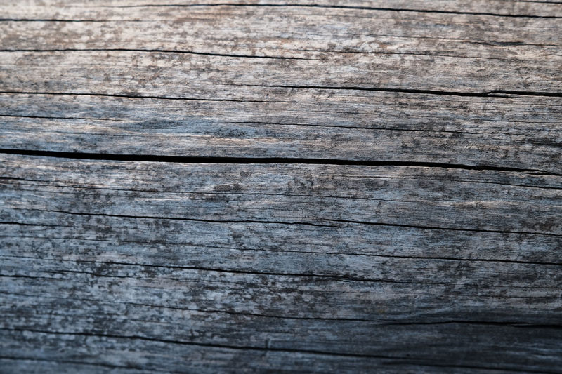 Full frame shot of weathered wooden plank