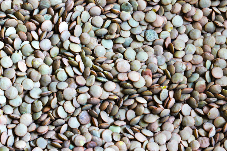 Green lentils, detail texture background, closeup of lentils background