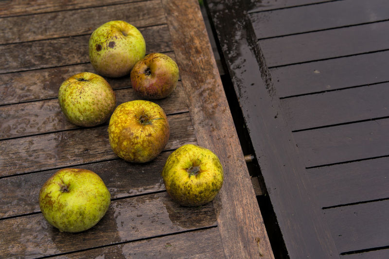 High angle view of apples on table