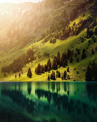 Scenic view of lake by trees on mountain