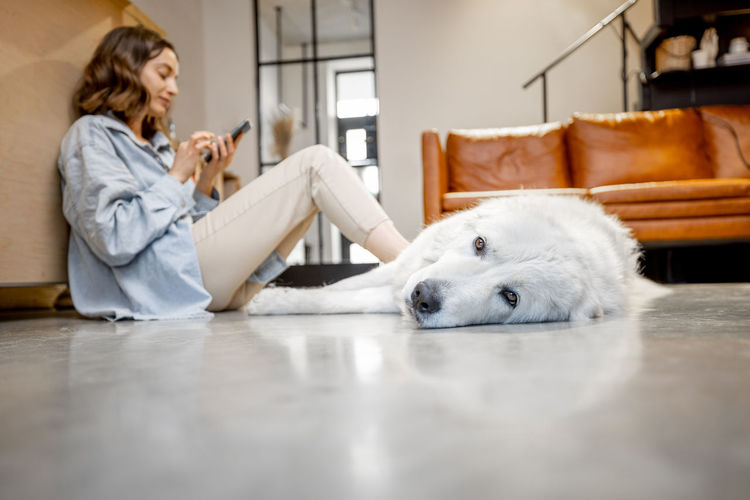 Midsection of woman with dog sitting on floor