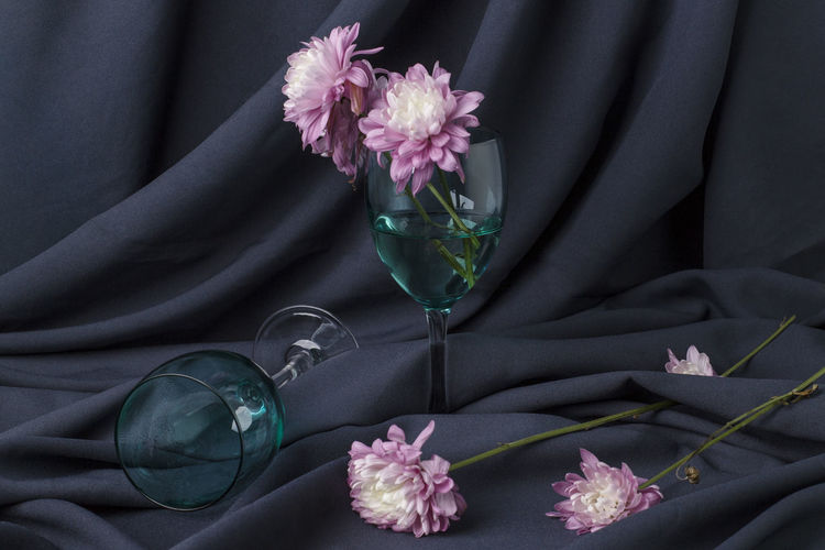 Withered chrysanthemum flowers in colored glass on gray background,