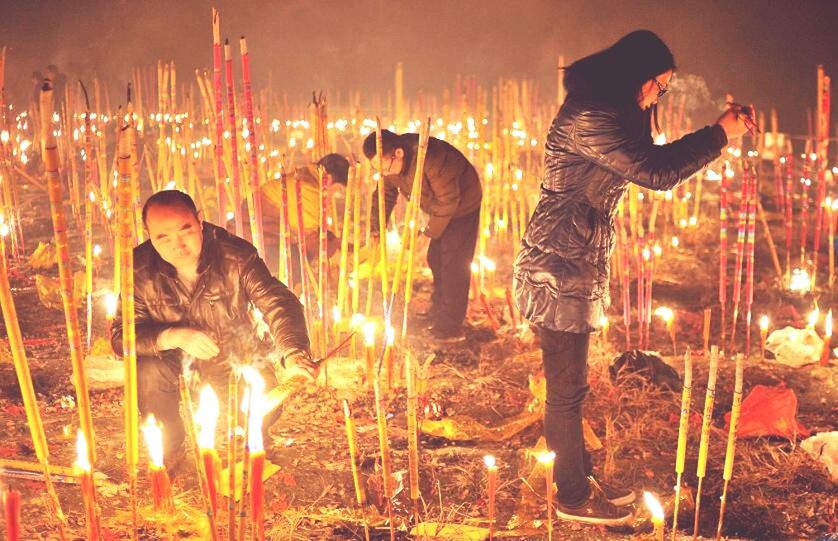 animal themes, illuminated, night, fire - natural phenomenon, glowing, domestic animals, flame, indoors, no people, burning, bird, celebration, animal representation, two animals, heat - temperature, mammal, art, togetherness, lighting equipment