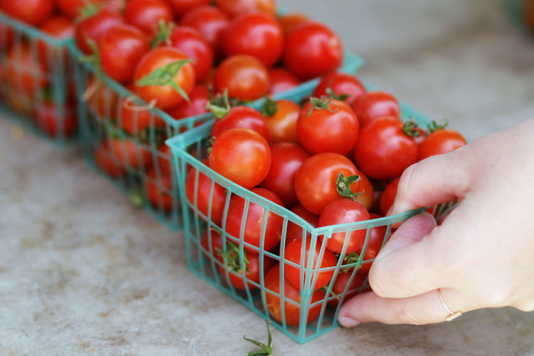 Cropped image of hand holding cherry tomatoes in container