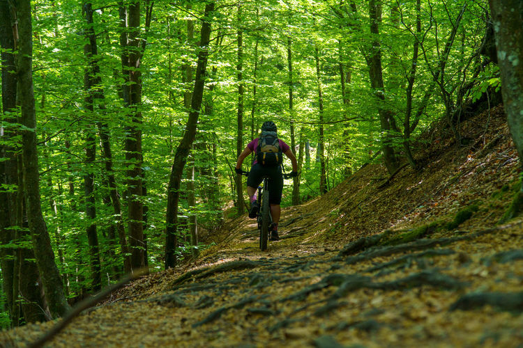 A young woman riding a mountain bike on a singletrail in the austrian alps near klagenfurt, austria.