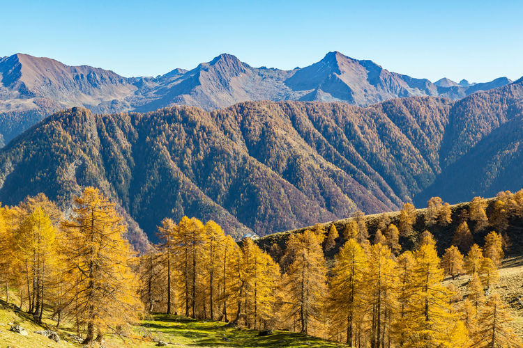 Scenic view of mountains against clear sky during autumn