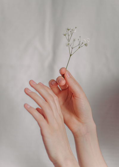 Close-up of woman hand holding small flower plant against curtain at home