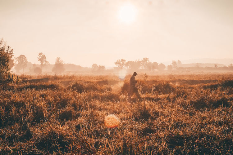Man standing on field against bright sun