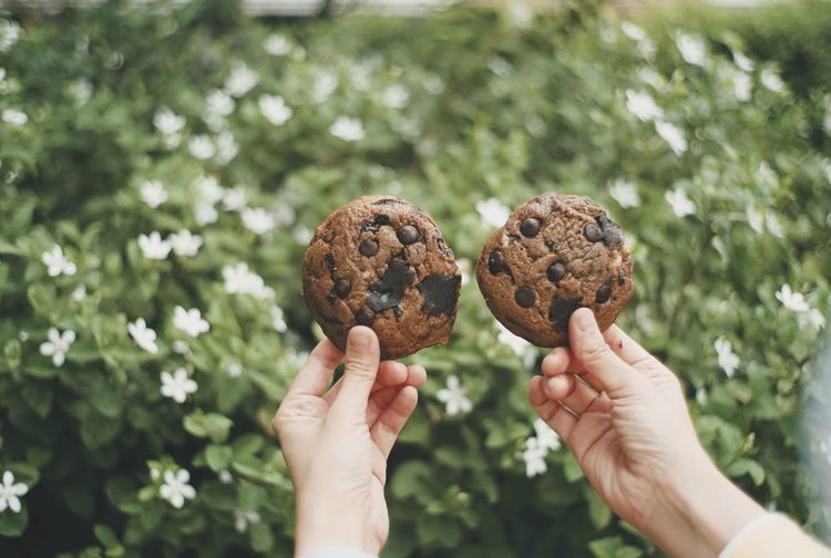 Midsection of person holding cookie against plants