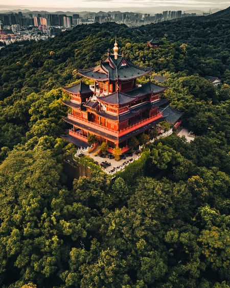 High angle view of temple amidst trees and building