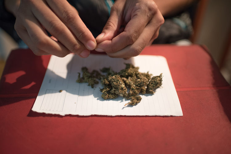 Cropped hands cleaning marijuana leaves on table